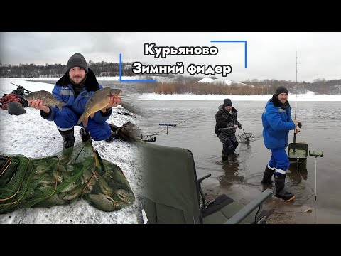 Видео: Зимний фидер| Ловля карпа зимой| Рыбалка в Курьяново