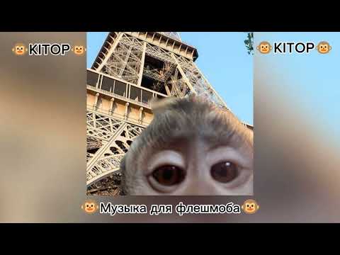 Видео: ✨🐵Музыка для флешмоба 🐵✨