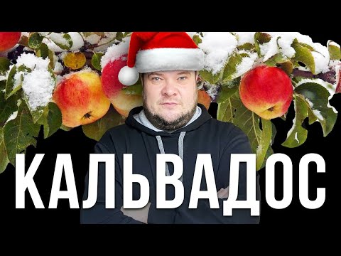 Видео: Как сделать Кальвадос в домашних условиях. Самогон из яблок