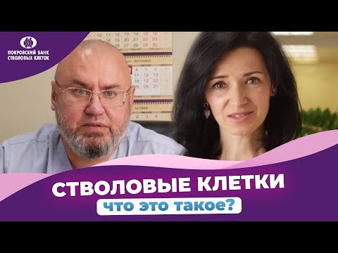 Видео: СТВОЛОВЫЕ КЛЕТКИ что это такое? Покровский банк стволовых клеток