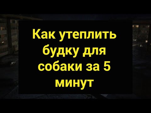 Видео: Как утеплить будку для собаки за 5 минут. weatherization for dogs in 5 minutes