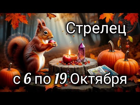 Видео: 🍂Стрелец! Таро прогноз с 6 по 19 Октября!