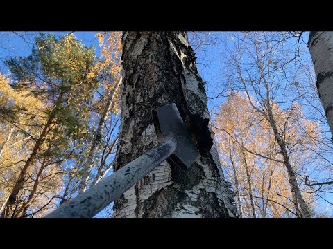 Видео: МЕТАЛЛОКОП БЕЗ ТОРМОЗОВ.