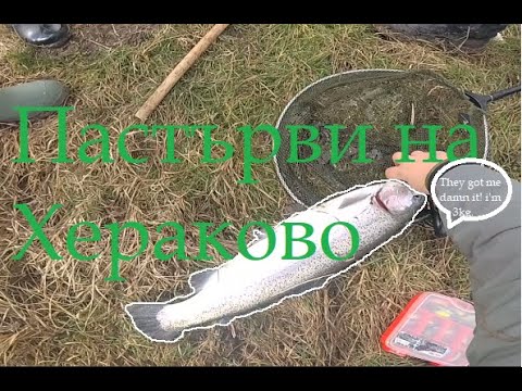 Видео: За пастърви на яз. Хераково - Out for trout on Herakovo lake