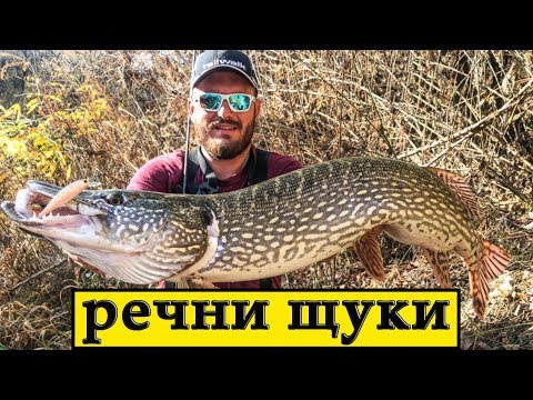 Видео: Риболов на щука. За крокодили в джунглата.