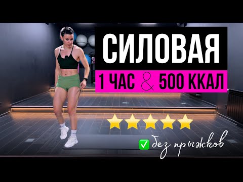 Видео: СИЛОВАЯ ТРЕНИРОВКА 1 ЧАС на все группы мышц  БЕЗ прыжков | sindirina1
