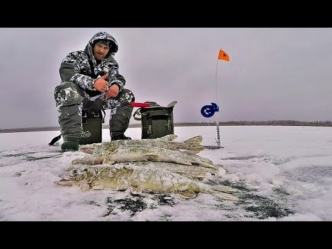 Видео: Зимняя Рыбалка.Полный Отрыв. Первый Лёд Продолжается!!! Щучье ЭЛЬДОРАДО.