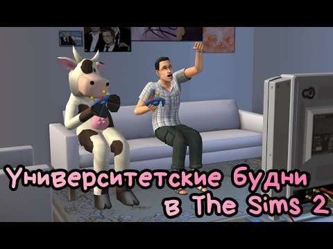 Видео: Соскучилась по симсикам | The Sims 2