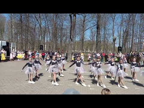 Видео: танец мышек:!