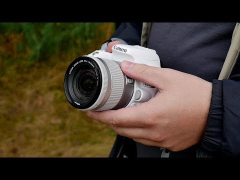 Видео: Canon EF-S 18-55mm f/4-5.6 IS STM - обновленный китовый объектив от Canon