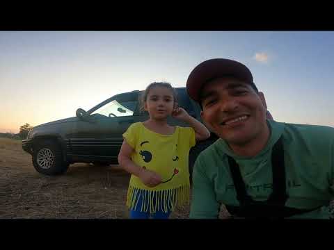 Видео: Жерех, Судак, Щучка/Река Дон. Рыбалка на Блëсна и Воблеры. #NEKFiSh