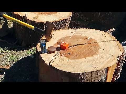 Видео: Ведьмин клин – лучший?