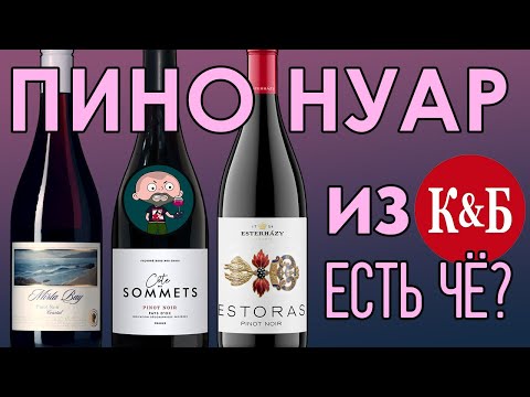 Видео: Весь Пино Нуар из КиБ. В апреле 2024