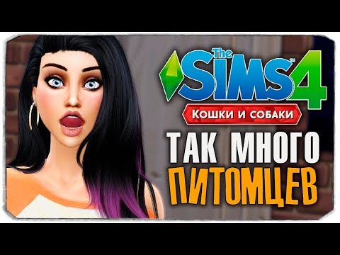 Видео: ТАК МНОГО ПИТОМЦЕВ У СОФИ! - The Sims 4 "Кошки и Собаки" ▮