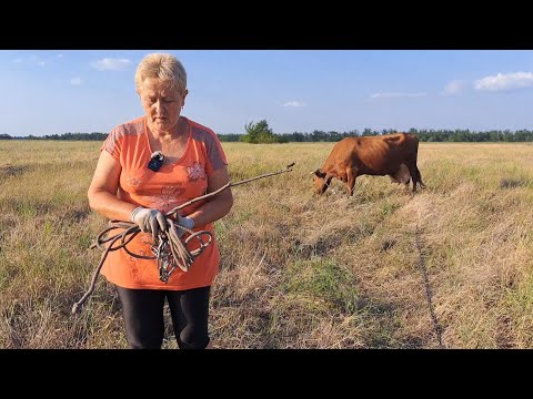 Видео: Для тех кто понимает ! Дорого или зажрались
