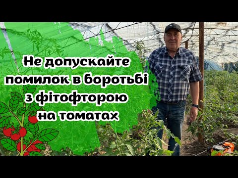 Видео: Не допускайте помилок в боротьбі з фітофторою на томатах!