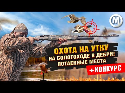 Видео: ОХОТА НА УТКУ! На болотоходе в дебри! Потаенные места
