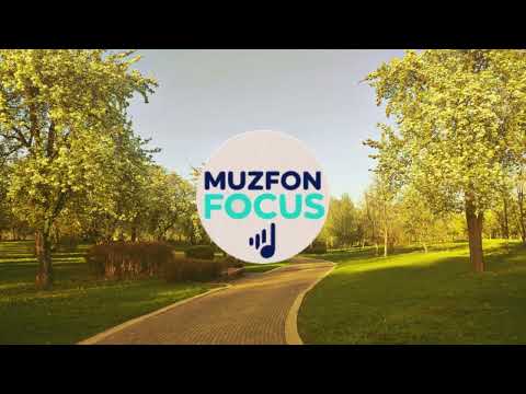 Видео: Музыка для работы | Фоновая музыка без слов без мата