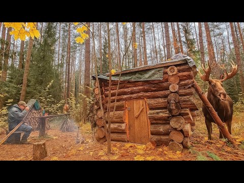 Видео: ИЗБА В ТАЙГЕ. ОБРАБАТЫВАЮ БРЁВНА ОТ ПЛЕСЕНИ. ПРОВЕРКА  ФОТОЛОВУШЕК. ДИКАЯ КУХНЯ!