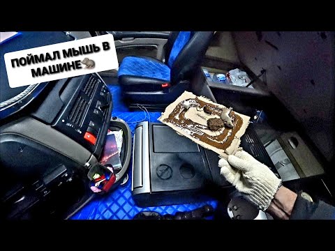 Видео: ВСЁ МИККИ-МАУСУ))ПРИКУРИВАЕМ ДАФ НЕ ЗАВЁЛСЯ,КУПИЛ НОВУЮ КАМЕРУ