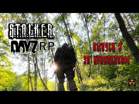 Видео: S.T.A.L.K.E.R. DayZ RP. (Выпуск 9 За кровососом)