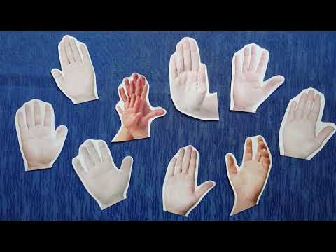 Видео: Что можно узнать о человеке при рукопожатии. Хирогномия