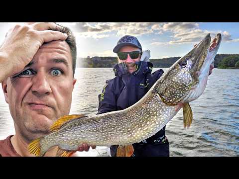 Видео: ОГРОМНЫЕ РЫБЫ ПОД НОГАМИ! В центре города! Рыбалка на спиннинг