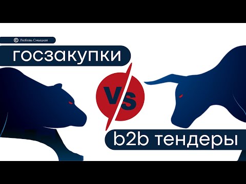 Видео: Тендеры и госзакупки: различия, риски, плюсы, минусы // Какие торги выгоднее // b2b VS b2g