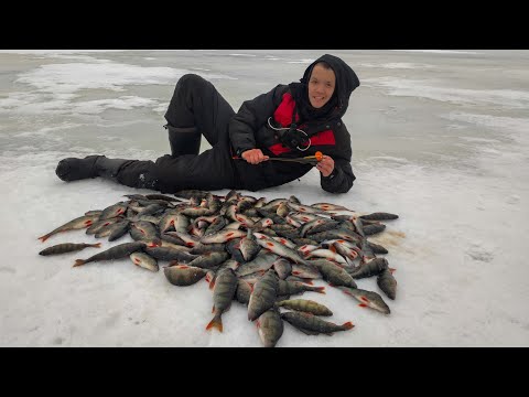 Видео: СМЕНИЛ МЕСТО И НАШЕЛ!? Зимняя РЫБАЛКА на Ладоге на крупного окуня.