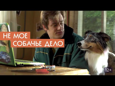 Видео: фильм не мое собачье дело #фильмдлясемьи #фильмы #фильмпрособак #фильмнавечер