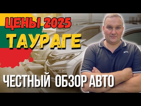 Видео: ЛИТВА, ТАУРАГЕ ЦЕНЫ на надёжные АВТО  🚗 | ЧАСТЬ 1| Осень 2025, что выбрать?