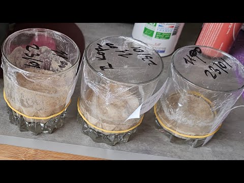 Видео: Восстанавливаем и оживляем сухую Закваску за пару-тройку дней.Зря волновалась,это проще простого!