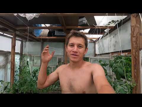 Видео: Я тоже так захотел сделать и вот что получилось(?)