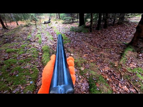 Видео: Загонная ОХОТА. УЖАС НОВОГОДНИЙ! 30 декабря 2022г.