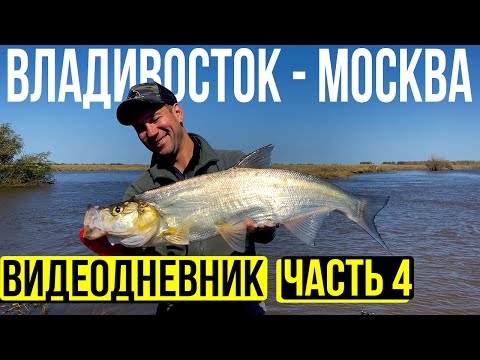 Видео: Мы в Хабаровске. Рыбалка на Амуре.Музей рыб Амура.  Решаем вопросы с кемпером. Часть 4