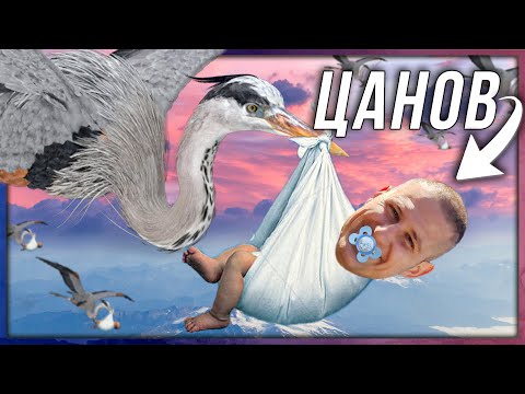 Видео: ИСТОРИЯТА. Моята и на този канал.