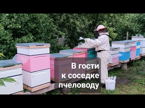 Видео: #Пасека В гостях у соседки на пасеке. Автор "На земле-матушке"@zemlya-matushka