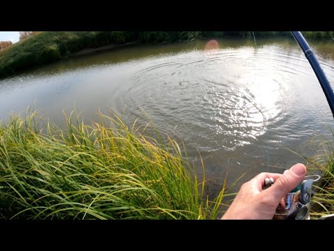 Видео: ТАЙНОЕ ОЗЕРО ПОЛНОЕ ЩУКИ!!! ПОЙМАЛИ 60КГ ЩУКИ ЗА ДЕНЬ!!! Рыбалка на спиннинг в сентябре. Часть 2