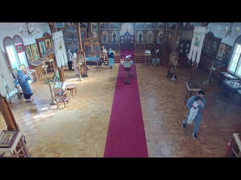 Видео: Литургия 4 ноября 2025