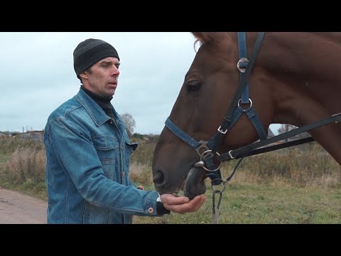 Видео: Андрей Барсуковский: Лошади - это жизнь!