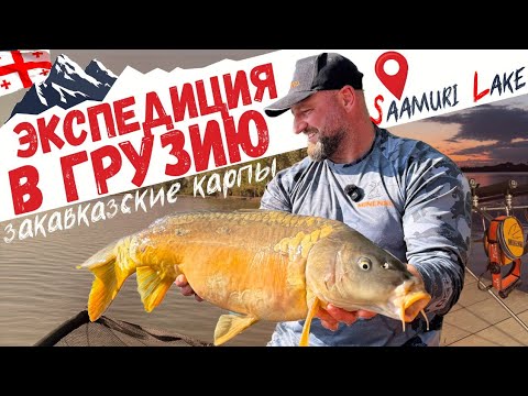 Видео: "Острый" грузинский карпфишинг