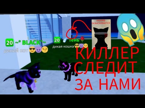 Видео: Игра с котятами "КИЛЛЕР СЛЕДИТ ЗА НАМИ! " 😱😱😱