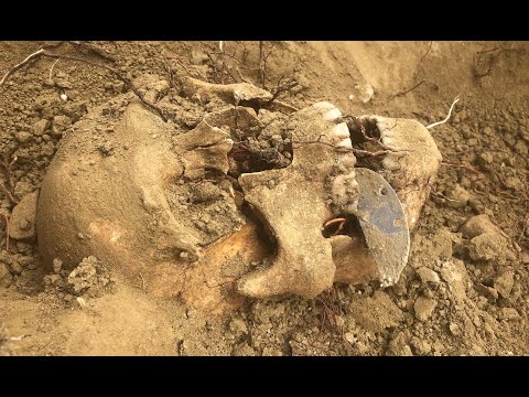 Видео: Ад, куда уходят Молодость и Смех — эксгумация немецкого кладбища времен Второй мировой войны