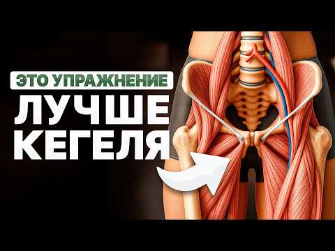 Видео: От ЭТОЙ мышцы зависит ВСЁ!/ Что общего между запорами, низким либидо и недержанием мочи?