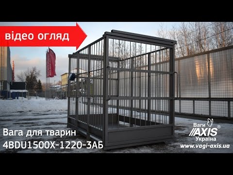 Видео: Ваги для тварин 4BDU1500XP-1220-3AБ(відео огляд). Весы для животных 4BDU1500XP-12203AБ(видео обзор).