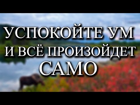 Видео: Ничего не ищите и станете тем, чем должны стать