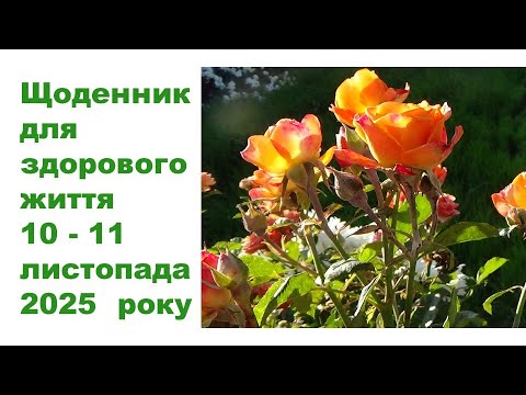 Видео: Щоденник важливих справ на городі, в садочку, на квітнику, для здоров'я 10-11 листопада 2025 року