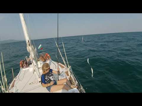 Видео: Несебър риболов от лодка!