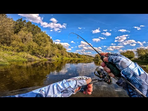 Видео: ЭКСПЕРИМЕНТ: нано джиг на большой реке – ПРОВЕРИМ, что клюнет!?