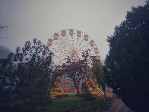 Видео: Туманное утро в центре города